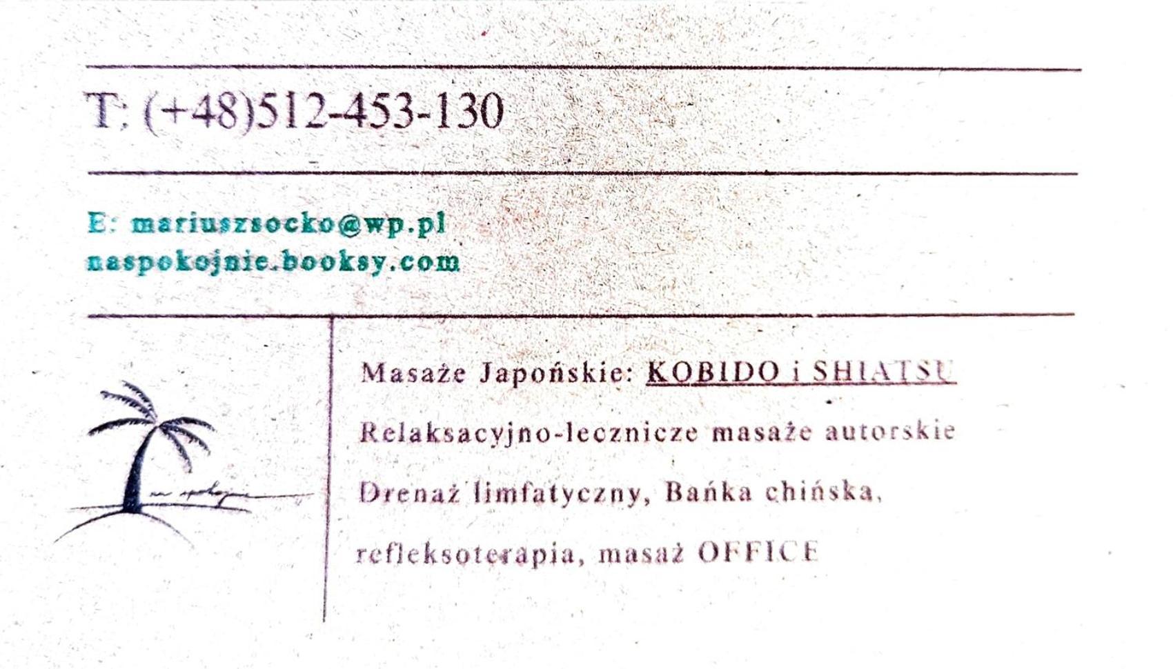 Hvile 30- Z Antresola, With An Entresol Stary Toruń Buitenkant foto